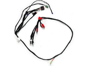 WIRING HARNESS EVO 2