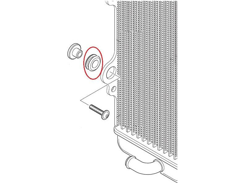 THERMOSTAT - RUBBER GROMMET FOR LOWER MOUNT